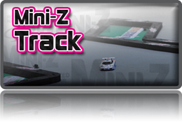 Mini-Z Track